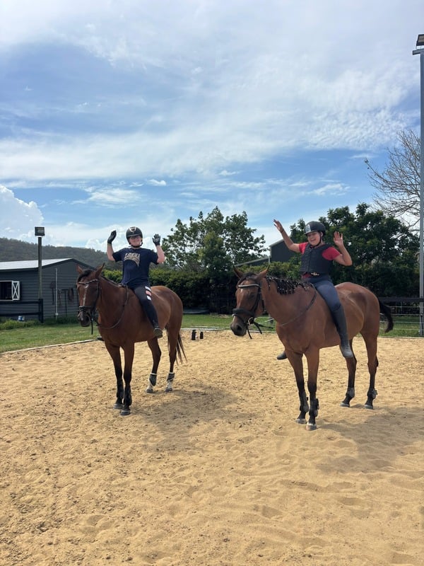 Life at The Royal Palm Equine Centre