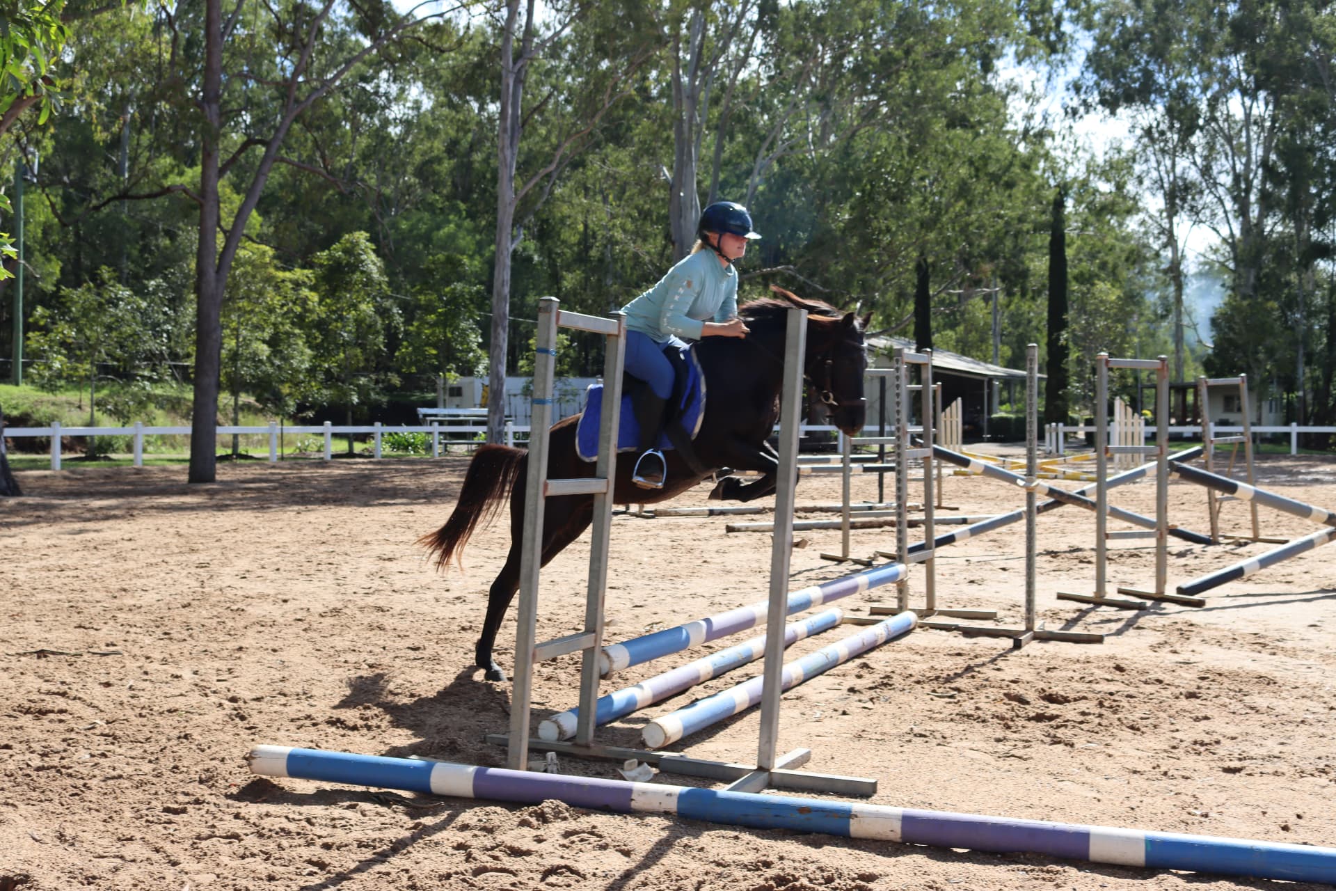 Horse Training & Breaking In