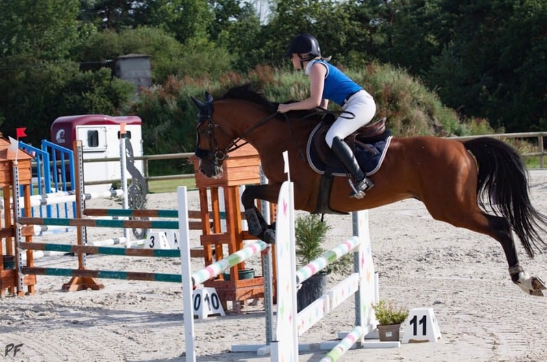 Show jumping round in competition