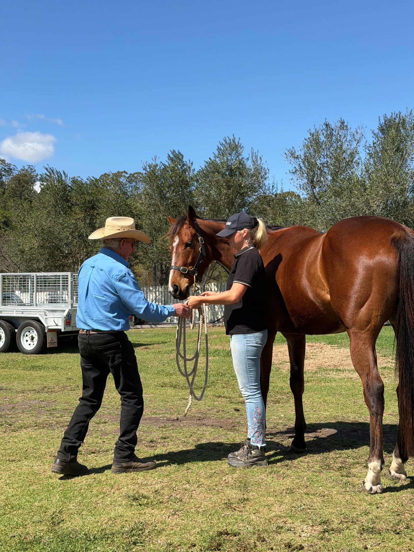 Clinic with John Chatterton — horse training, float loading and horsemanship — photo 1