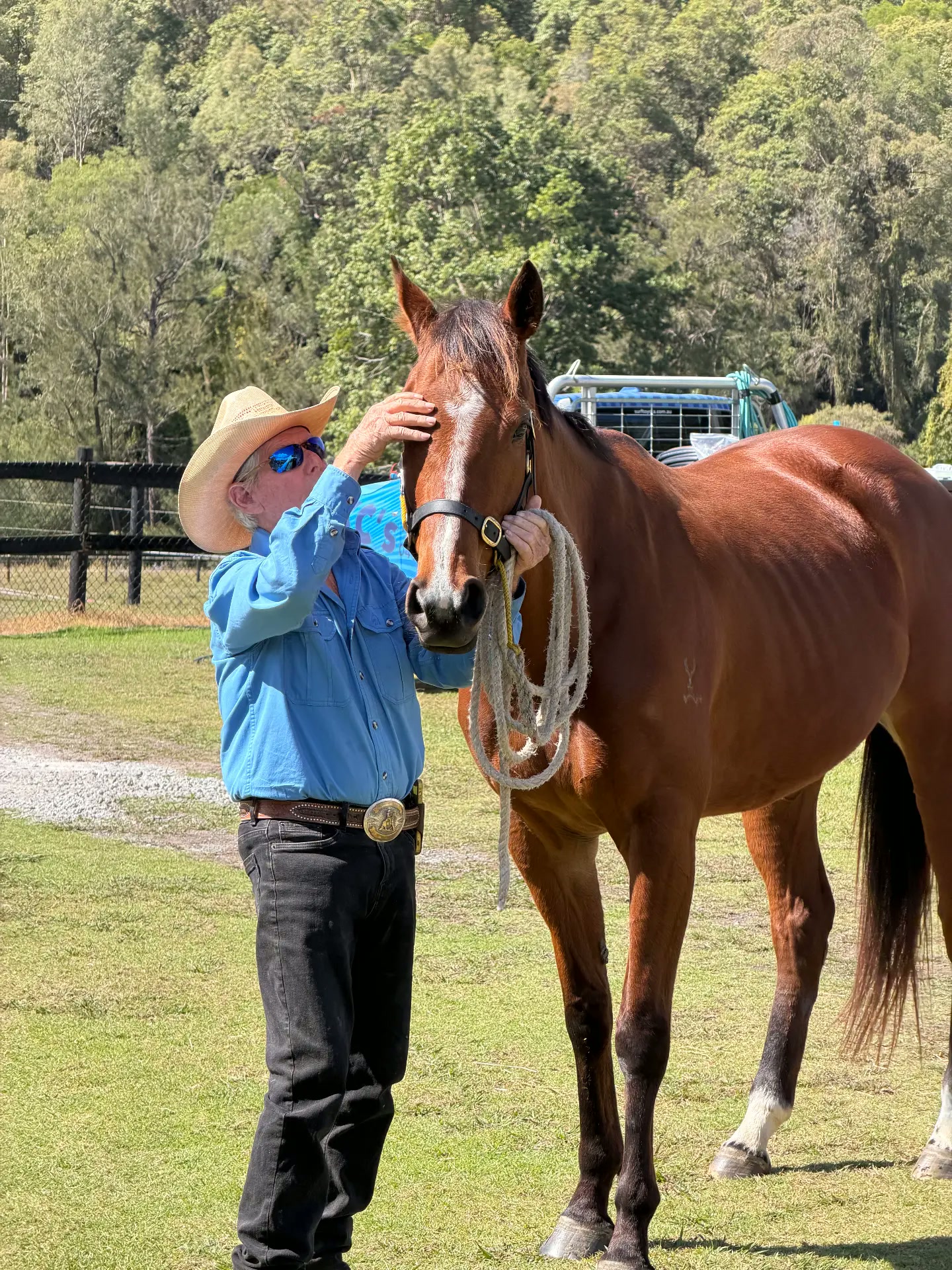 Clinic with John Chatterton — horse training, float loading and horsemanship
